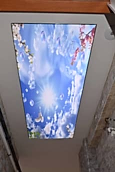 Barisol gergi tavan  modelleri