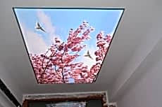 Barisol gergi tavan  modelleri