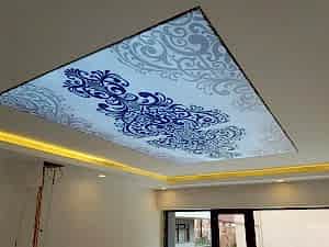 Lake gergi tavan modelleri