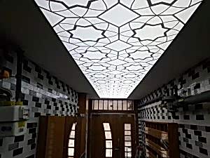 Vekt�rel desenli gergi tavan �al��mam�z.