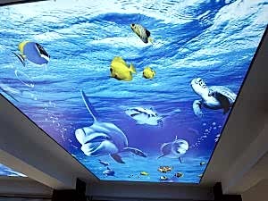 Lake gergi tavan modelleri