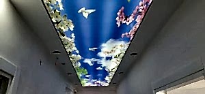 Barisol gergi tavan  modelleri