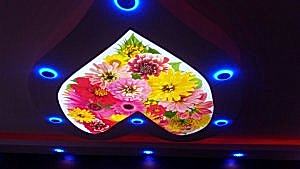 Barisol gergi tavan  modelleri