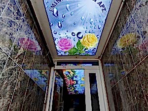 Apartman giri�i gergi tavan �al��mas�