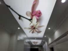 Lake gergi tavan modelleri