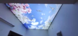 Bah�elievlerde Gergi tavan montaj�