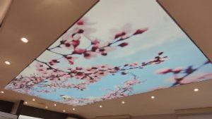 Bayrampa�a gergi tavan malzemeleri montaj�