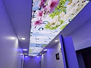 Barisol gergi tavan  modelleri