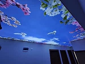 Lake gergi tavan modelleri