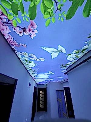 B�y�k�ekmecede G�ky�z� Panel Gergi Tavan