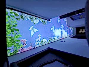 Lake gergi tavan modelleri