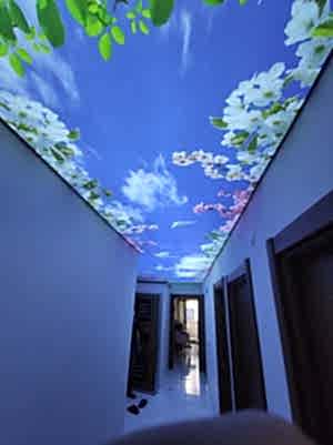 Lake gergi tavan modelleri