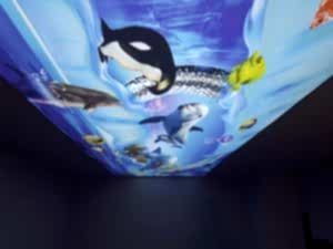 Barisol gergi tavan  modelleri