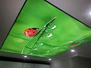 Barisol gergi tavan  modelleri