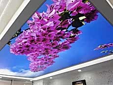 D�zce Gergi Tavan Toptan Fiyatlar�