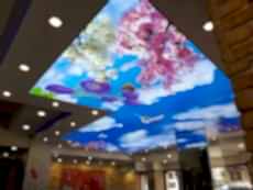 Barisol gergi tavan  modelleri