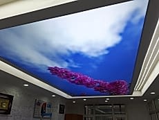 Barisol gergi tavan  modelleri