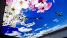 Barisol gergi tavan  modelleri