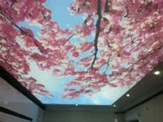 Barisol gergi tavan  modelleri