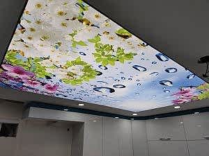 Transparan gergi tavan  modelleri