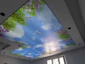 G�ky�z� Gergi Tavan modelleri