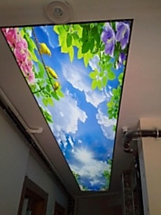 Barisol gergi tavan  modelleri