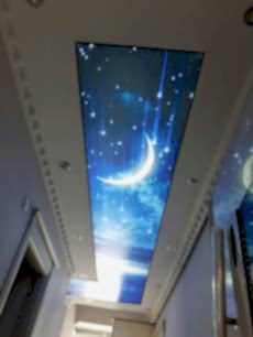 Lake gergi tavan modelleri