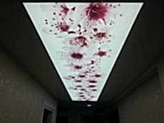 Barisol gergi tavan  modelleri