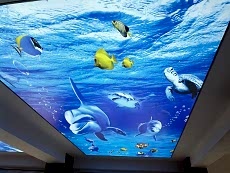 Barisol gergi tavan  modelleri