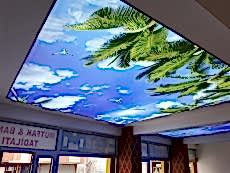 Barisol gergi tavan  modelleri