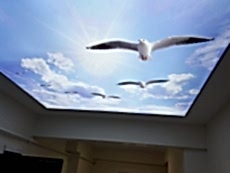 Barisol gergi tavan  modelleri