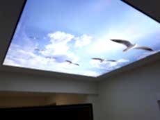 Barisol gergi tavan  modelleri