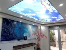 Barisol gergi tavan  modelleri