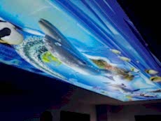 Barisol gergi tavan  modelleri