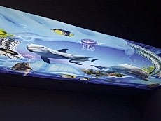 Barisol gergi tavan  modelleri