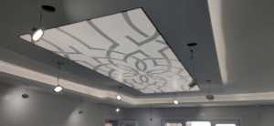 Transparan gergi tavan  modelleri