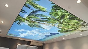 Barisol gergi tavan  modelleri