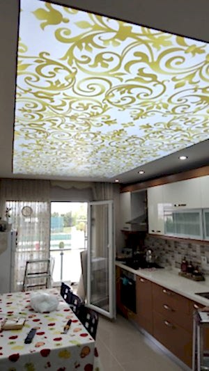 Barisol gergi tavan  modelleri