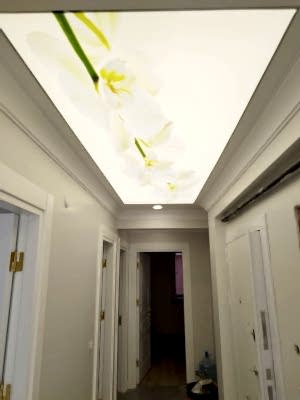 Barisol gergi tavan  modelleri