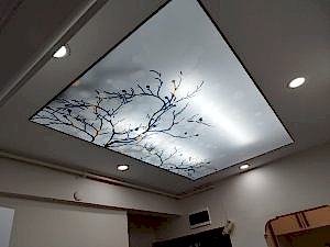 Gergi Tavan Modelleri 2024