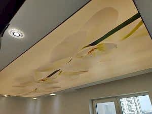 Transparan gergi tavan  modelleri