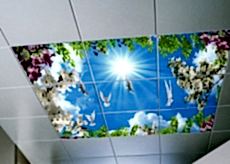 G�ky�z� Gergi Tavan modelleri