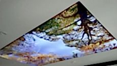 Barisol gergi tavan  modelleri