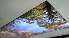 Barisol gergi tavan  modelleri