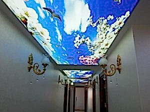 Barisol gergi tavan  modelleri