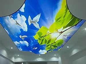 Barisol gergi tavan  modelleri