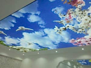 Barisol gergi tavan  modelleri