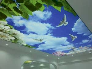 Barisol gergi tavan  modelleri