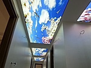 Barisol gergi tavan  modelleri