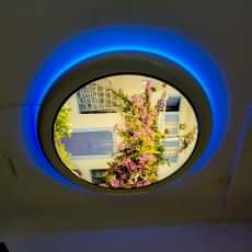 Haz�r Gergi tavan Ayd�nlatma modelleri